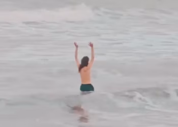 ¡De locos!: Se metió al mar en pleno frío polar en Mar del Plata y lo filmaron cuando una ola lo tapó por completo