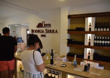 Enoturismo: 34 bodegas entre San Rafael y Alvear reciben a más de 370 mil visitantes anuales