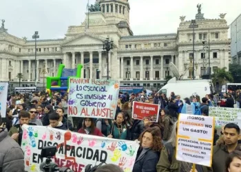 El Senado convirtió en ley el proyecto que declara la emergencia en discapacidad