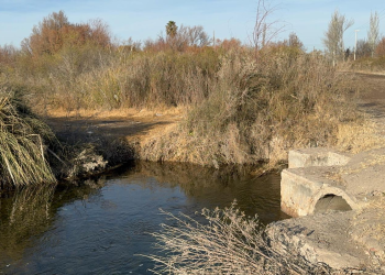 Los Dos Álamos: El municipio construirá un puente peatonal para que los vecinos no crucen por el río