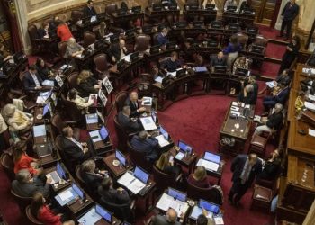 Candidaturas testimoniales: proponen prohibir por 4 años al que gane y no asuma