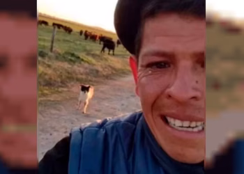 El peón rural que echaron después de 11 años, lloró por su perro y se hizo viral: qué pasó con los patrones