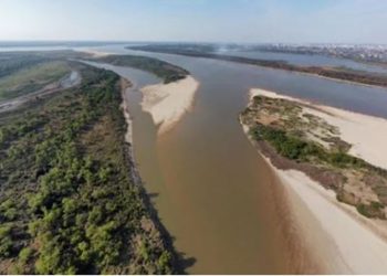 De los 15 problemas globales para la conservación de la biodiversidad, 7 son una amenaza en Argentina