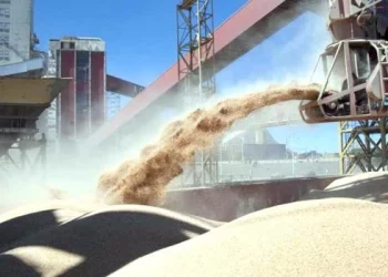 Julio fue un mes récord en el ingreso de dólares del campo