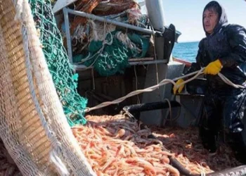 Pedido de eliminación de las retenciones a la pesca