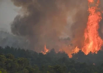 Un incendio forestal en Francia arrasó 13.000 hectáreas y causó al menos un muerto