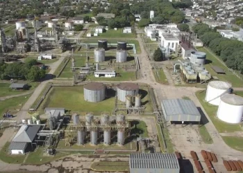 YPF creó una empresa para la producción y comercialización de bio combustibles