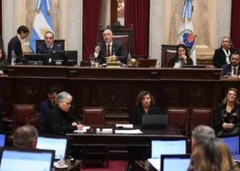 El Senado discute en comisión los proyectos de emergencia en pediatría y financiamiento universitario