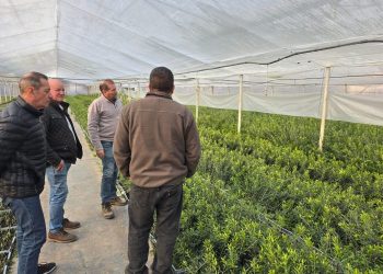 Empresario español explora oportunidades de inversión agroindustrial en San Rafael