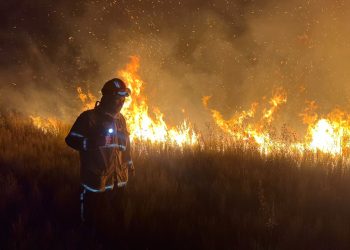 Bomberos locales refuerzan el llamado a la conciencia en el Día de Prevención de Incendios Forestales