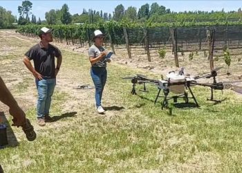 Digitalización agropecuaria: la tecnología pisa cada vez más fuerte en el campo del sur mendocino