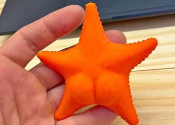 La estrella de mar viral del CONICET ya se comercializa como “accesorio” en San Rafael