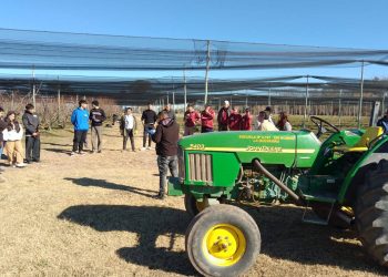 La Guevarina volvió a latir con el certamen de poda que une a estudiantes y productores