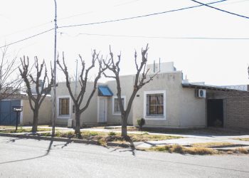 Arbolado público: burocracia de Recursos Naturales, falta de autonomía municipal, enojo vecinal y mutilaciones