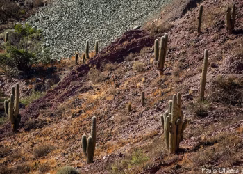 Cuál es el pueblo argentino que compite por ser uno de los 8 más lindos del mundo