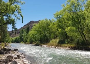 Denuncia de La Pampa por el río Atuel: «Es un capítulo político sin base técnica» expresaron desde Irrigación