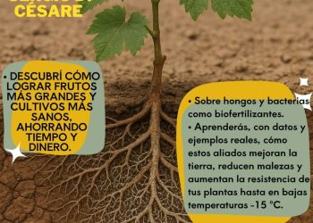 Productores impulsan un taller para difundir nuevas alternativas agrícolas en Cañada Seca