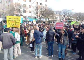 Veto a la Ley de Emergencia en Discapacidad: “El Presidente tiene que entender que él no es el dueño de la verdad”