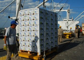 Estancamiento de las exportaciones de Mendoza: «Las cifras reflejan una realidad de incertidumbre y costos elevados»
