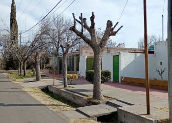 La edil Giraudo cuestionó la gestión del municipio en el manejo del arbolado público