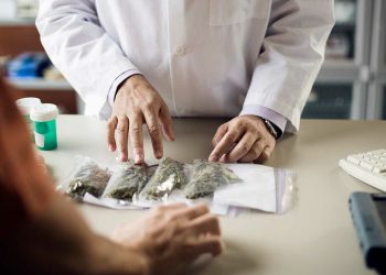 Dictarán una charla sobre “Acceso justo al cannabis medicinal”