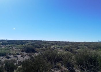 Convocatoria a Audiencia Pública para el Parque Solar Agua del Toro en San Rafael