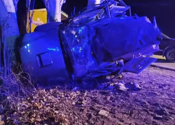 Tragedia en la provincia de Mendoza: dos jóvenes murieron tras un violento choque contra un árbol