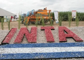 El Gobierno eliminó la Dirección Nacional del INTA