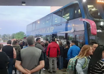 Travel Sale: Pasajes en micro a precios rebajados desde y hacia San Rafael