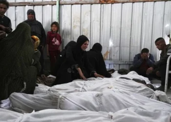 Expertos califican de “genocidio” la campaña de Israel en Gaza