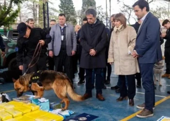 Fue récord histórico la incautación de cocaína en el primer semestre