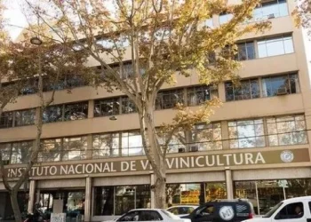 La Justicia suspendió los pases a disponibilidad en el Instituto Nacional de Vitivinicultura