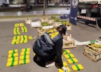 Secuestraron 85 kilos de cocaína en un camión que transportaba bananas