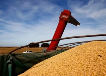 Las exportaciones de la agroindustria totalizan US$32 mil millones en lo que va del año