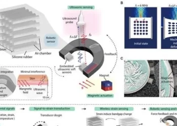 China creó un microrobot para tareas dentro del cuerpo humano