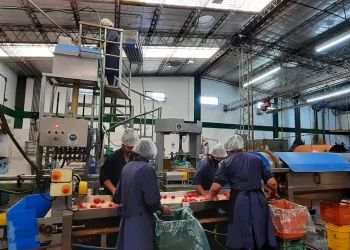 Una conservera de San Rafael cierra sus puertas por la crisis del sector