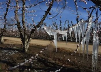 Antes de la primavera, San Rafael amaneció con heladas de hasta 4 grados bajo cero