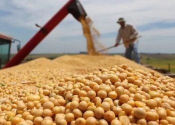 CONINAGRO analiza un escenario de alta incertidumbre política y económica