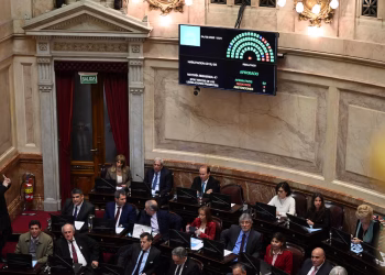Senado: la oposición dejó sin efecto el veto de Milei y reactivó la ley de emergencia en discapacidad