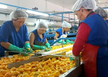 La agroindustria mendocina pide por competitividad ante el panorama económico y la apertura a la importación