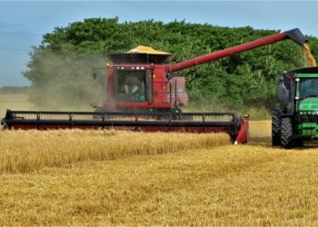 Fin de las retenciones al agro hasta el 31 de octubre: qué espera el gobierno y el sector exportador
