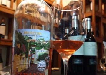 El Sur de Mendoza desembarca en Buenos Aires con su primera feria de vinos