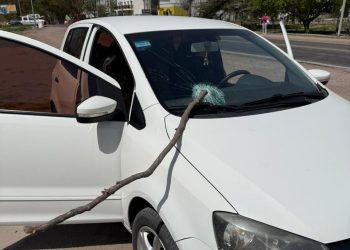 Intensas ráfagas de viento: se le incrustó una rama en el parabrisas mientras manejaba