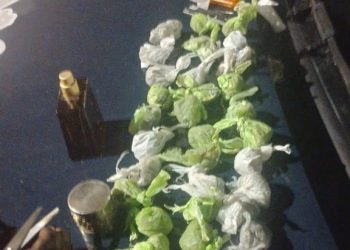 Detuvieron a un joven con 37 envoltorios de marihuana