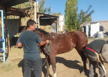 PEMPA pide ayuda urgente tras los daños que dejaron las lluvias en su predio en Maipú