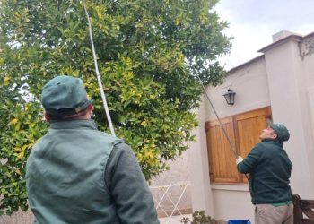 ISCAMEN llama a los vecinos a colaborar para proteger la fruta de la mosca del Mediterráneo