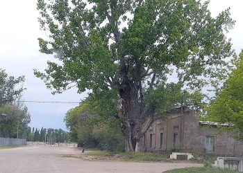 El Km 0 de la historia profunda de San Rafael