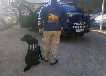 Desbaratan banda que vendía drogas con base en una playa de estacionamiento en San Rafael
