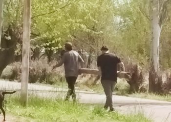 La Escuela Pascual Iaccarini vuelve a sufrir robos y piden la colaboración de la comunidad