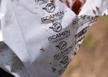 Se liberan 30 millones de moscas del Mediterráneo estériles entre San Rafael y Alvear